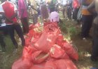 Otuke District Distributes 33,976 Government Hand Hoes as Authorities Warn Against Diversion