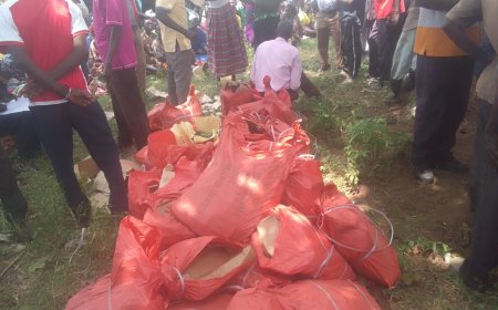 Otuke District Distributes 33,976 Government Hand Hoes as Authorities Warn Against Diversion