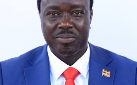 MP Leo Elem Demands Forensic Probe into Missing Classroom Block at Anara Primary School
