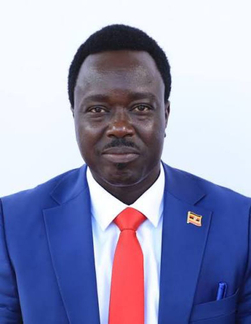 MP Leo Elem Demands Forensic Probe into Missing Classroom Block at Anara Primary School