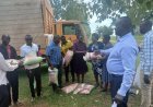Amolatar Farmers Receive 15 Tonnes of Certified Seed as Government Ramps Up Agricultural Support