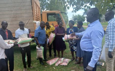 Amolatar Farmers Receive 15 Tonnes of Certified Seed as Government Ramps Up Agricultural Support