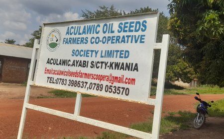 Government Warns Cooperatives Against Corruption and Infighting, Calls for Unity to Drive Sector Growth