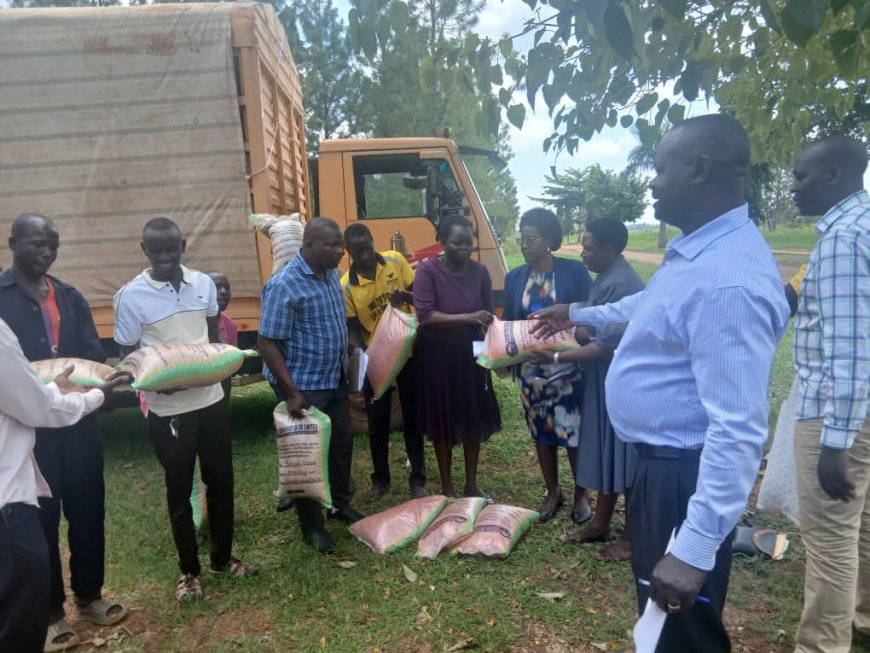 Amolatar Farmers Receive 15 Tonnes of Certified Seed as Government Ramps Up Agricultural Support