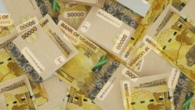 MONEY WILL COME.