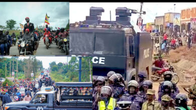 BREAKING: Bobi Wine's "Freedom Tour" Draws Massive Crowds in Mityana, Amid Heavy Police Deployment.