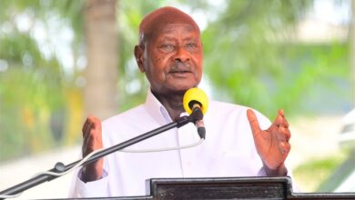 "I am Not Sick, I am Busy Working for Uganda"