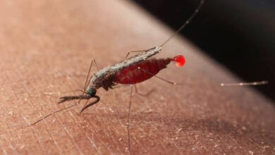 MINISTRY OF HEALTH HAVE GIVEN 17,000 DOSE OF ACTELLIC INSECTICIDE TO DOKOLO.