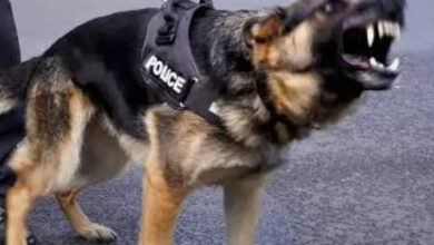 30 SUSPECTS APPREHENDED BY POLICE DOG IN DOKOLO DISTRICT.